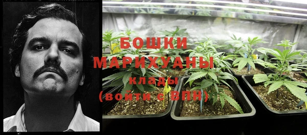 мет Шали