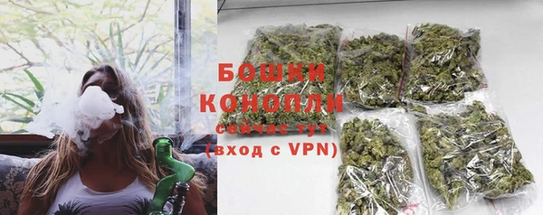 трава Шарыпово