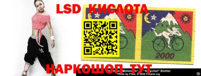 прущие грибы Гусев