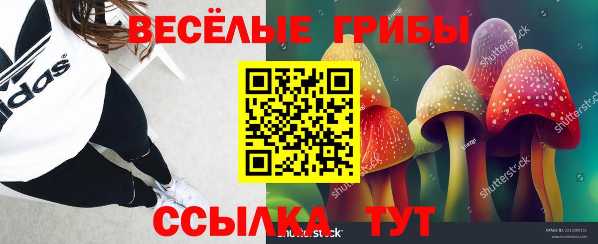 Галлюциногенные грибы прущие грибы Орск