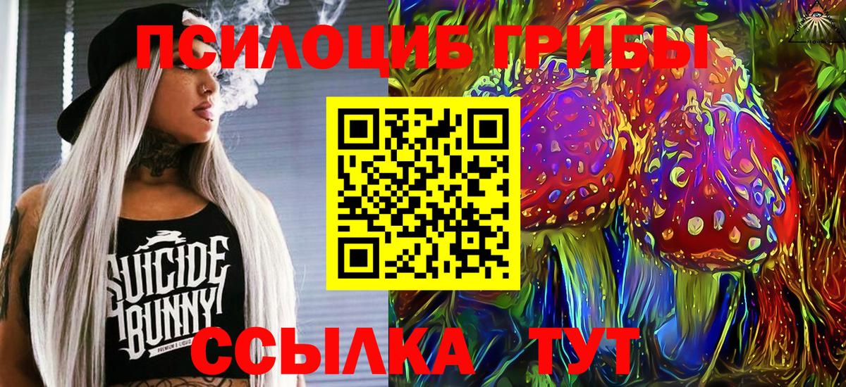 Псилоцибиновые грибы GOLDEN TEACHER  Галлюциногенные грибы Psilocybine cubensis  Орск  Вход с VPN 